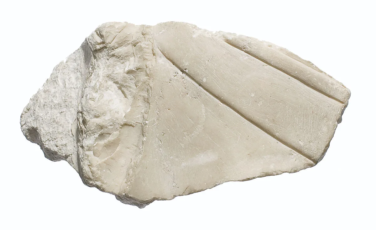 Left rear quadrant of a head of Akhenaten or Nefertiti wearing an upright crown — Unknown