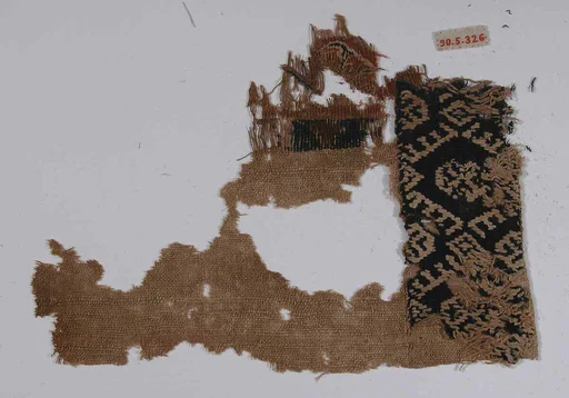 Fragment of a Sleeve