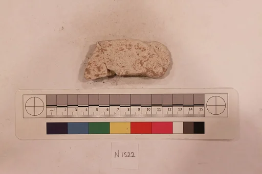 Stucco Fragment