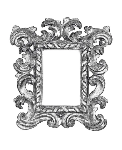 Cauliculi frame