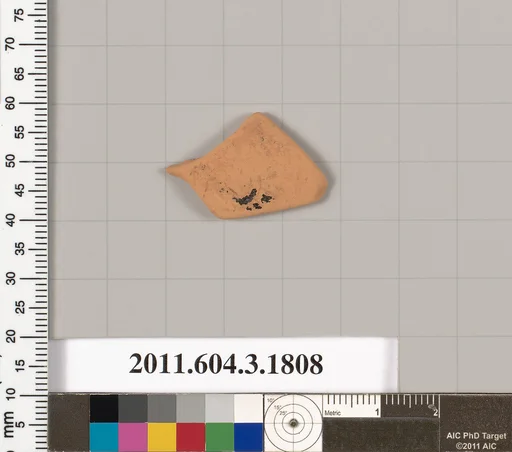 Terracotta fragment of a kylix: Lip cup (drinking cup)