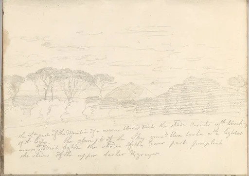 Landscape with Umbrella Pines and Distant Mountain (Smaller Italian Sketchbook, leaf 41 recto)