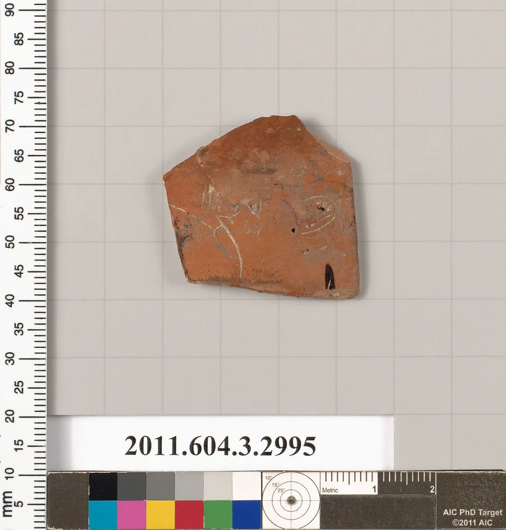 Terracotta fragment of a closed shape — Unknown