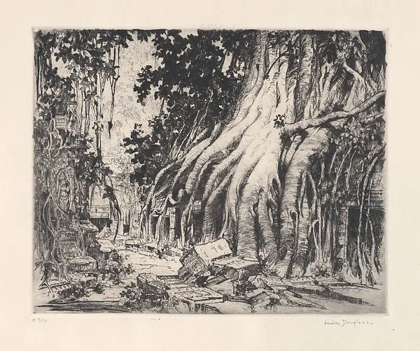 Inner Court Ta Prohm — Lucille Sinclair Douglass