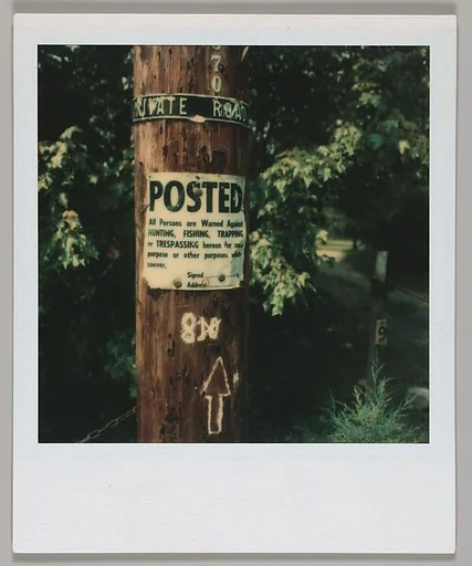 [Signs Posted on Telephone Pole]