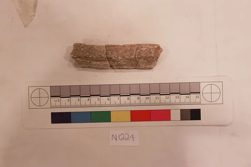 Stucco Fragment