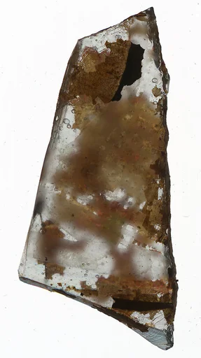Fragment