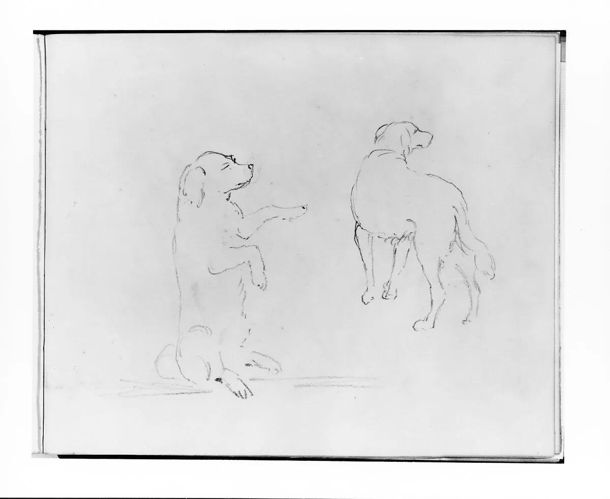 Two Studies of a Dog (from Sketchbook) — Francis William Edmonds