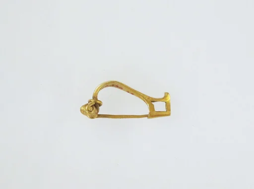Fibula