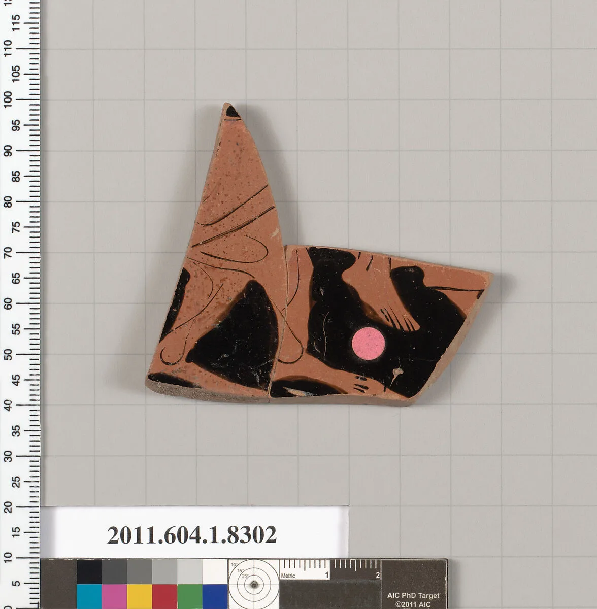 Terracotta fragment of a kylix (drinking cup) — Unknown