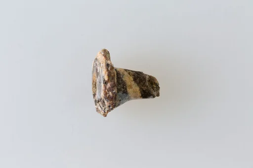 Part of an ear stud