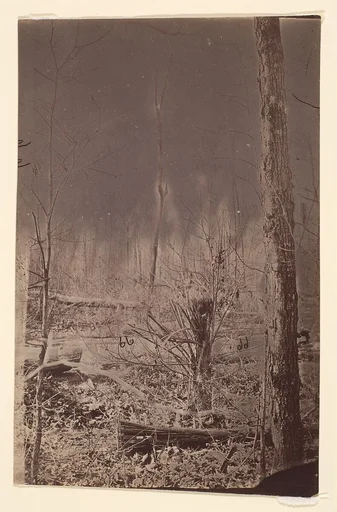 [The Wilderness Battlefield]