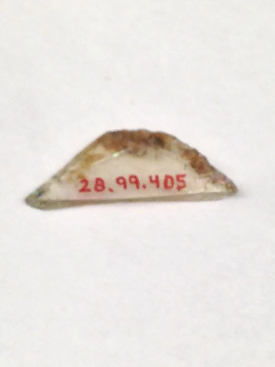 Fragment — Unknown