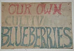 [Hand-painted Sign: "Our Own Cultivated Blueberries"]