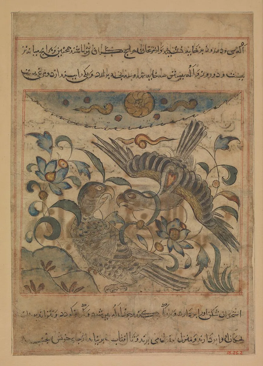 "Pair of Eagles", Folio from a Manafi' al-hayawan (On the Usefulness of Animals) of Ibn Bakhtishu' — Ibn Bakhtishu'