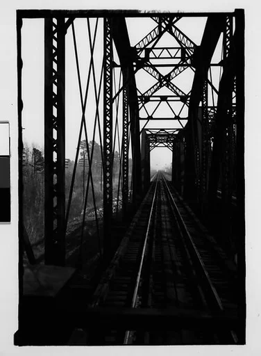 [Covered Section Over Railroad Tracks, From Moving Train, Savannah, Georgia]