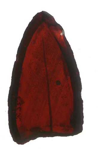 Glass Fragment