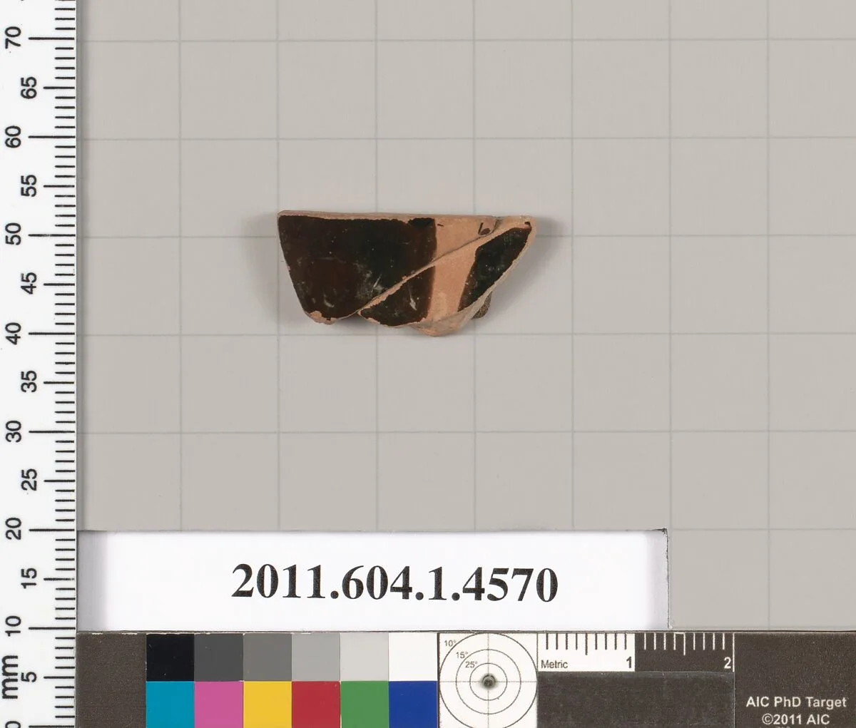 Terracotta fragment of a kylix (drinking cup) — Unknown