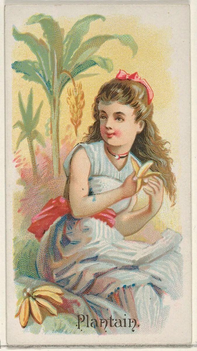 Plantain, from the Fruits series (N12) for Allen & Ginter Cigarettes Brands — Allen & Ginter|George S. Harris & Sons