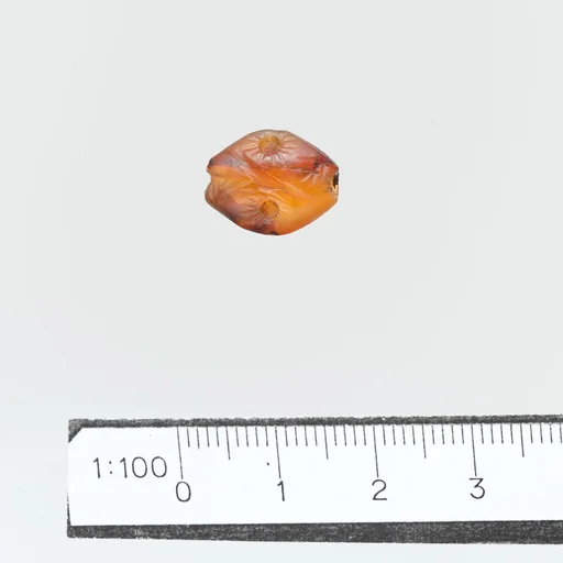 Seal, amygdaloid