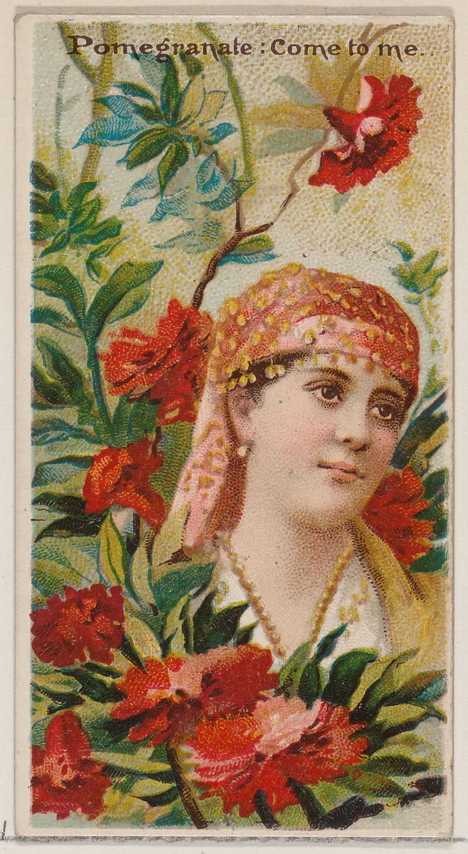 Pomegranate: Come to Me, from the series Floral Beauties and Language of Flowers (N75) for Duke brand cigarettes — Donaldson Brothers|American Tobacco Company