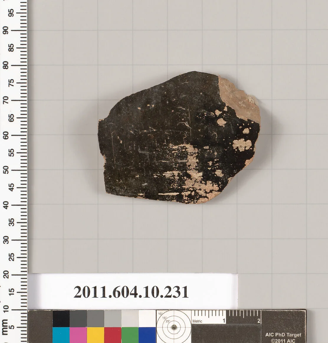 Terracotta fragment of a closed shape — Unknown