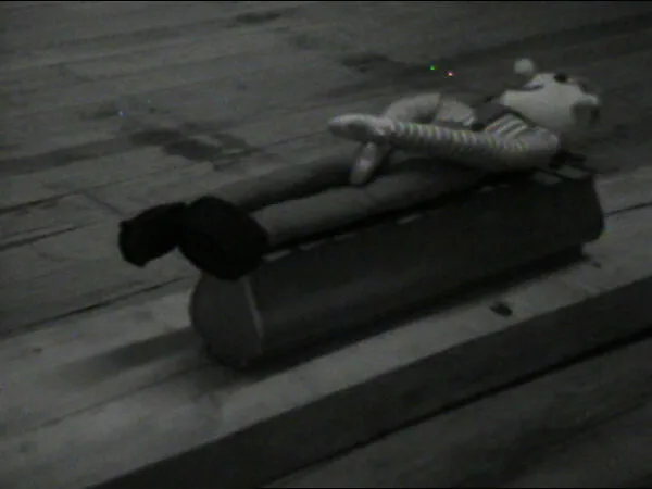 Hobo on Train — William Wegman