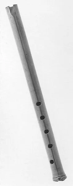 Flogera? — Unknown