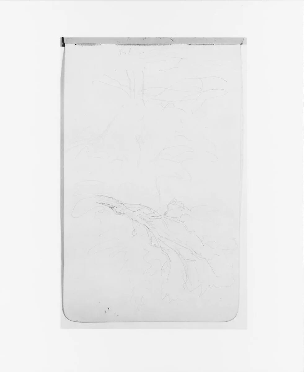 Sketches of Trees (from Sketchbook) — Albert Bierstadt