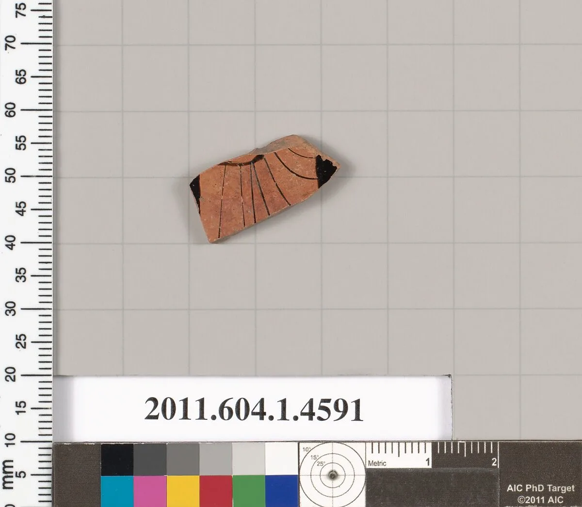 Terracotta fragment of a kylix (drinking cup) — Unknown