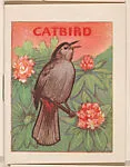 Catbird from Eggers Bird Booklets (W607) — Unknown
