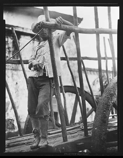 [Man Standing on Flatbed of Wagon, Cuba]