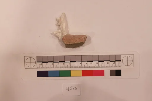 Stucco Fragment