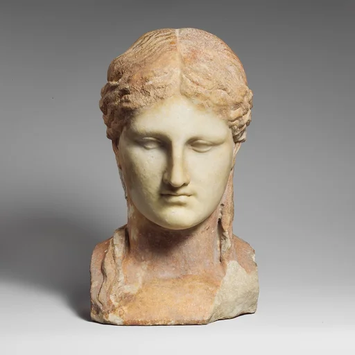 Marble female herm