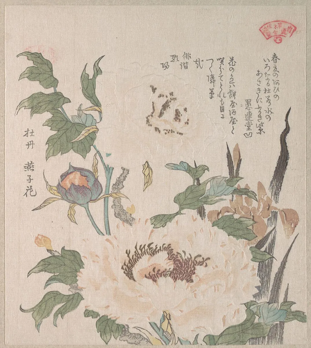 Untitled — Kubo Shunman