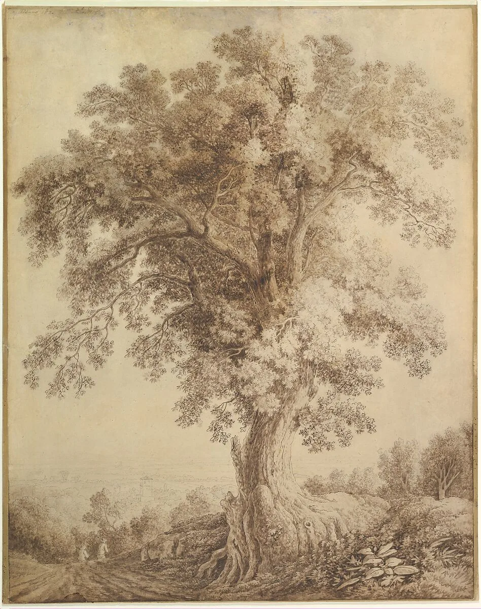A Large Tree at Albano — Jacob Philipp Hackert