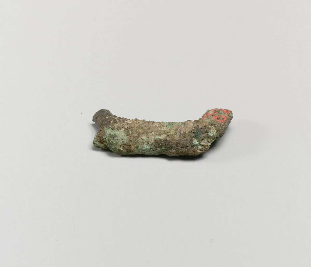 Fibula, Certosa type — Unknown