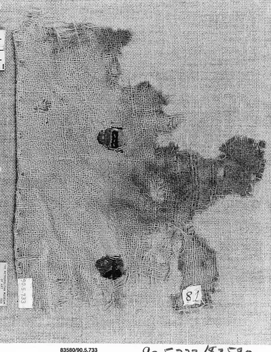 Textile Fragment