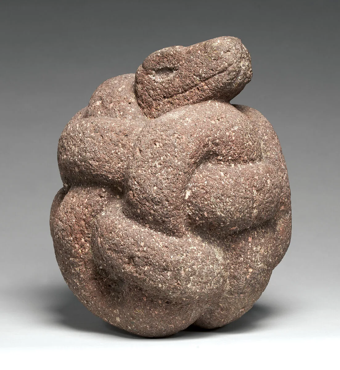 Coiled Serpent — Unknown