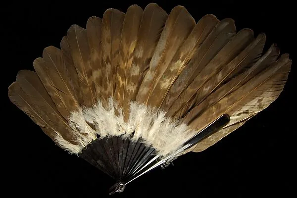 Fan — Unknown
