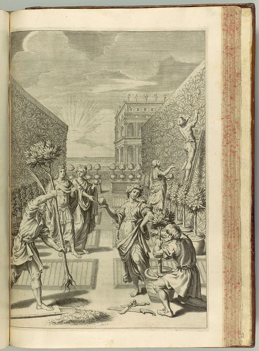Hesperides sive de Malorum Aureorum cultura et usu. Libri Quatuor — Giovanni Battista Ferrari|Sumptibus Hermanni Scheus|Guido Reni|Johann Friedrich Greuter|Francesco Albani|Andrea Sacchi|Nicolas Poussin|Giovanni Francesco Romanelli|Domenichino (Domenico Zampieri)|Giovanni Lanfranco|Dominique Barrière|Cornelis Bloemaert|François Perrier|Filippo Gagliardi|Claude Goyrand|Pietro Paolo Ubaldino|Camillo Cungi