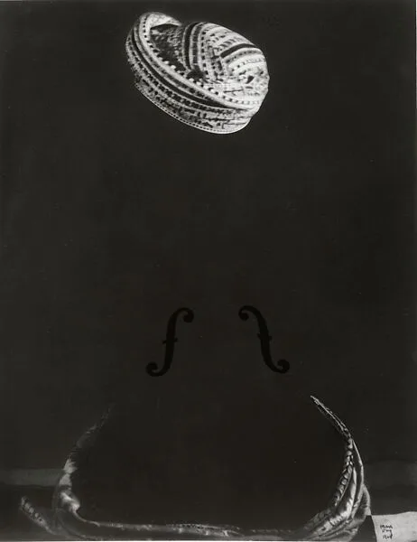 The Other Series (After Man Ray) — Kathy Grove