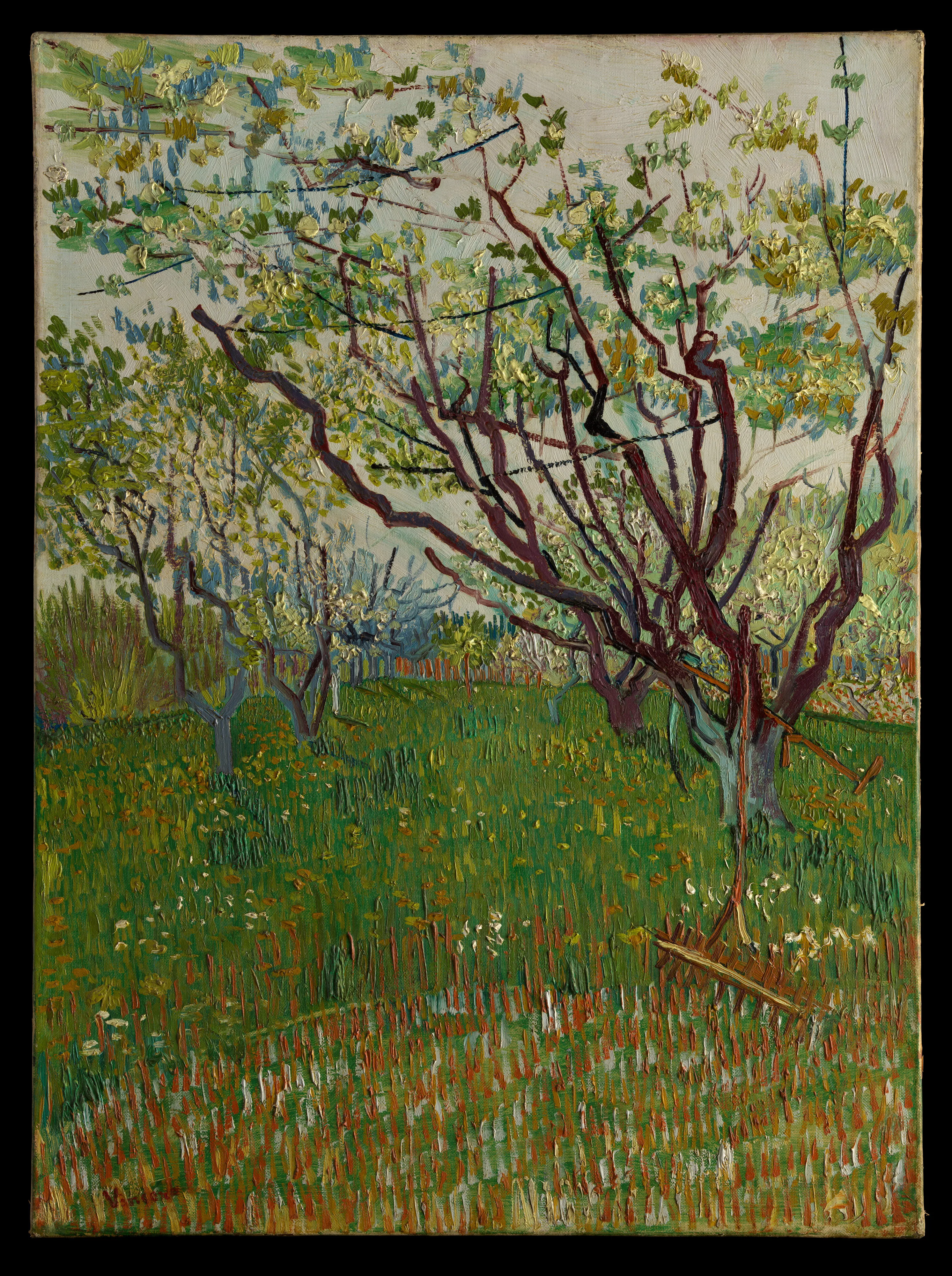 The Flowering Orchard — Vincent van Gogh