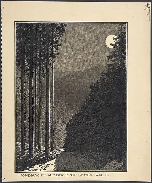 Mondnacht auf der Brombergshoehe — W. E. Cyrenius