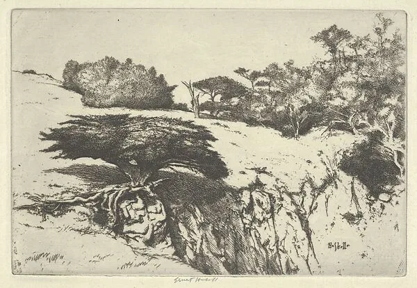 Fan Tree and Her Canyon — Ernest Haskell