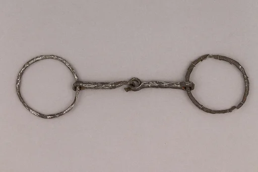 Snaffle Bit