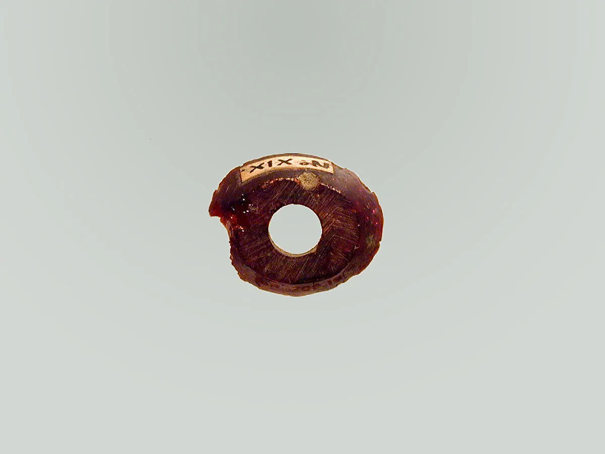 Fibula, fragment — Unknown