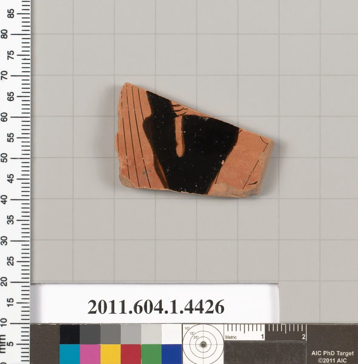 Terracotta fragment of a kylix (drinking cup) — Unknown