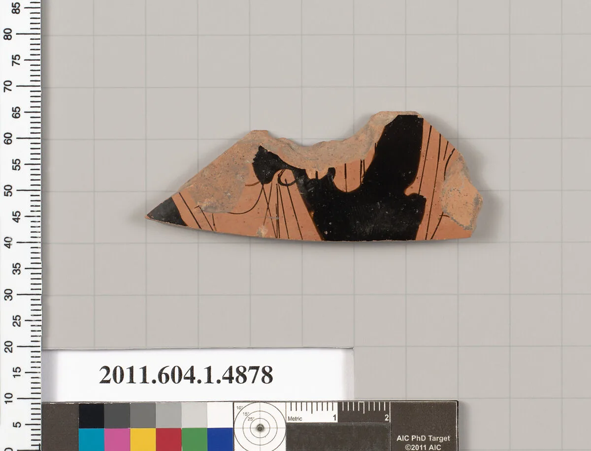 Terracotta fragment of a kylix (drinking cup) — Unknown