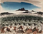 Mojave Desert
